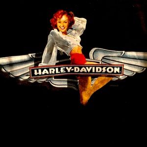 Harley Davidson T-shirt